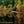 Load image into Gallery viewer, DR-09 - Autumn in North Cascades