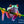 Load image into Gallery viewer, FR-03 - Red-Eyed Tree Frog