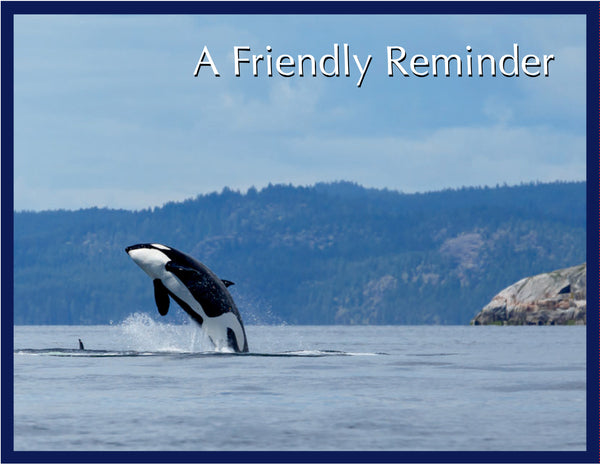 FR-05 - Northwest Orca
