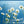 Load image into Gallery viewer, FR-08 - Daisies