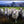 Load image into Gallery viewer, PO-06 - Curious Sheep