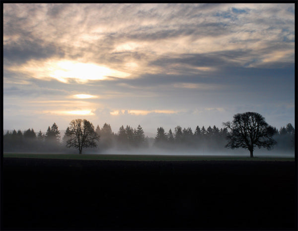 PO-08 - Misty Morning