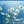 Load image into Gallery viewer, FR-08 - Daisies
